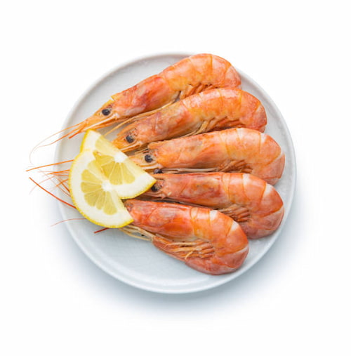 قیمت عمده میگو دریایی سایز 40